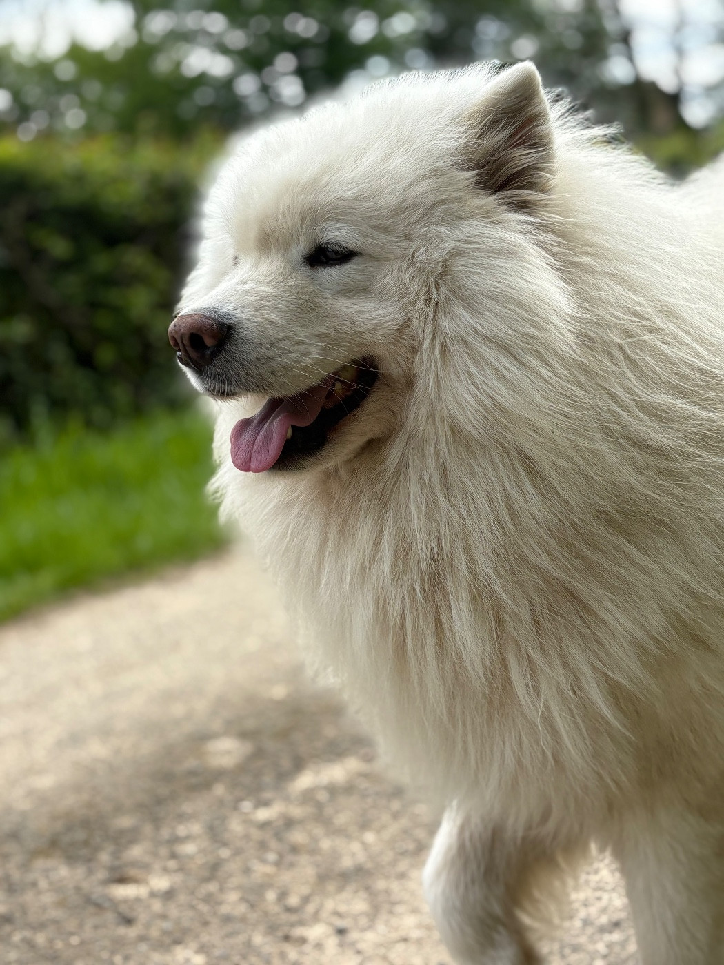 Naissance prévue début février ♥ 