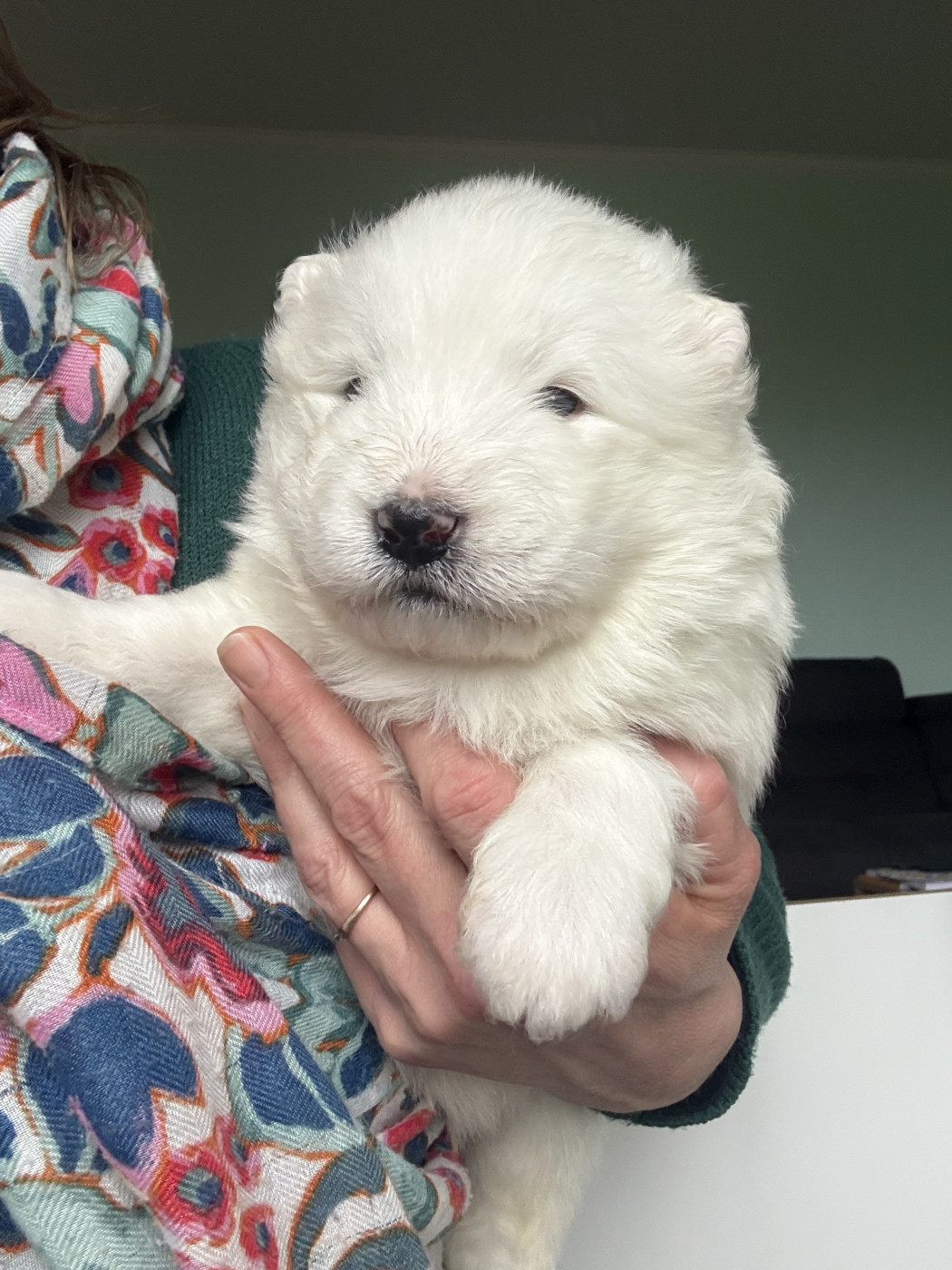 Nous avons des bébés ♥ ♥ 